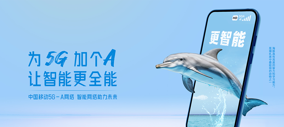 中国移动白河县移动宽带